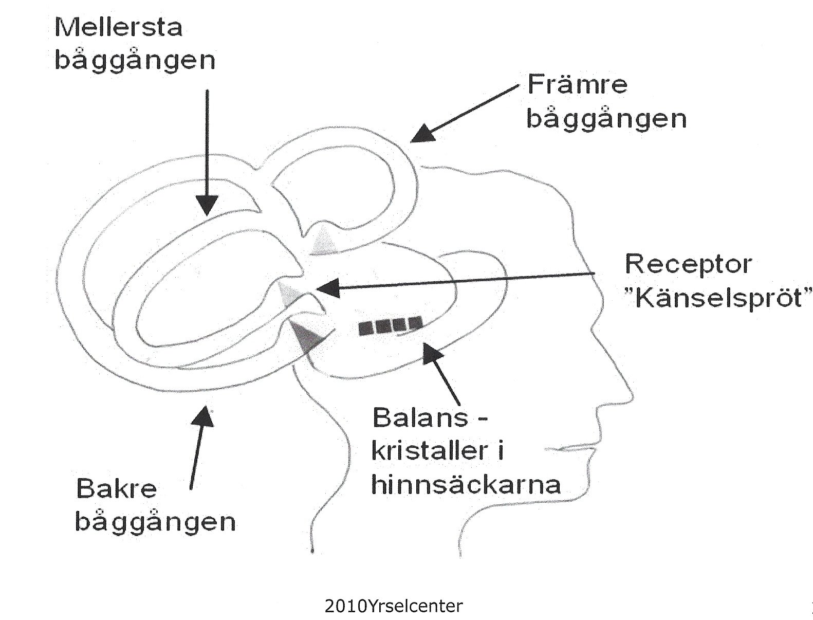 Diagnos av balansproblem och yrsel