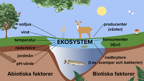 Jordens Naturunderverk och Ekosystem